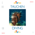 Tauchen / Diving - Business