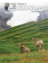 June 2014 - Montana Wild Sheep Foundation