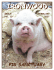 February 07 Newsletter - Ironwood Pig Sanctuary