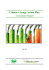 Climate Change Action Plan Assessment Report