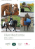 Ollard Westcombe - Cameo Equestrian