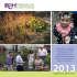 TheDCH Annual Report for 2013