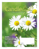 Candlelight Spring 2015