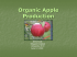 Organic Apple Production Concerns