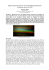 Optical spectrum analysis of the Hessdalen phenomenon.