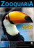 talking toucans