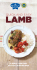 QUICK AND EASY - Wham Bam Thank You Lamb