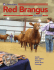 View this Issue - American Red Brangus Association