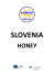 Honey: Slovenia