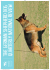 Summer 2015 - German Shepherd Dog Council of Australia