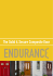 Endurance doors brochure