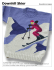 Downhill Skier - Sweaterscapes