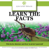 Learn the Facts - Lyme Action Network