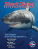 SDI Brochure - Shark Diving International