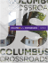 Columbus at a Crossroads