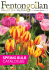 spring bulb catalogue