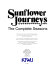 Sunflower Journeys