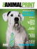 TOP DOG - the Animal Print Magazine
