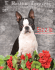 Sizzle - E Boston Terriers
