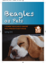 as Pets - Beagle Welfare