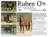 Ruben O is a spectacular imported Dutch Warmblood stallion out of