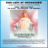 OUR LADY OF MEDJUGORJE - The Queen of Peace Apostolate