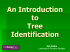 General Tree Identification