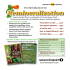 Remineralization - Nature`s Footprint