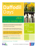 give - Daffodil Days