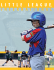 Baseball Brochure