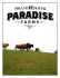 Our Passion, Your Experience - Shane Baghai`s Paradise Farms