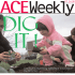 ACE Weekly - Sustainable