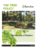 the tree policy
