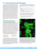 Section 24.1 - Reference Standards and Antifade Reagents