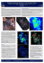 Molecular Line Surveys of Cygnus X: The 13CO and C18O View