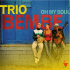 Untitled - Trio Bembe