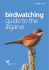 birdwatching guide to the algarve