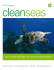 Clean Seas - BP Global