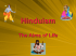 Hinduism - Aims of Life