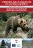 corridors for cantabrian brown bear conservation