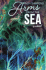Read Chapters 1-3 of Arms from the Sea