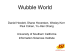 Wubble World