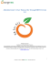 Administrator`s User Manual for OrangeHRM Version 3.0