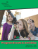 Program Guide - Girl Scouts of Minnesota and Wisconsin Lakes and
