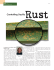 Fall 08 Rust