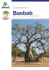 Descriptors for Baobab (Adansonia digitata L.)