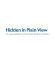 Hidden in Plain View - Holton Studio Frame