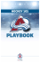 What is Hockey? - Colorado Avalanche