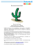 Wie umarme ich einen Kaktus?