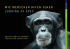 Wie Menschen Affen sehen Looking At Apes